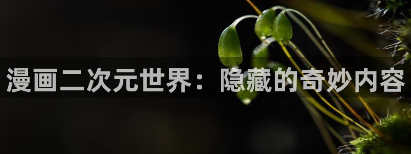 51漫画最新版怎么下载